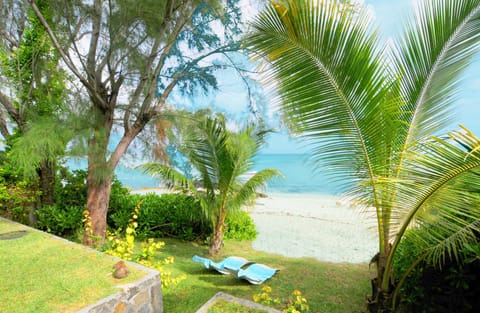 Natural landscape, Garden, Beach, Garden view, Sea view, sunbed