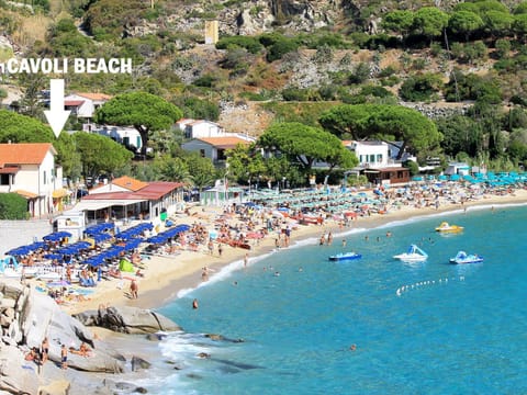 Nearby landmark, Natural landscape, Beach, Sea view