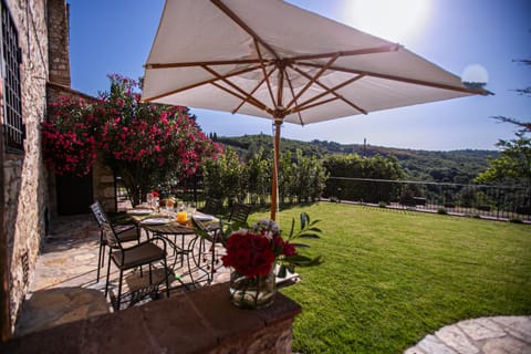 Patio, Natural landscape, Garden, View (from property/room), Dining area, Garden view