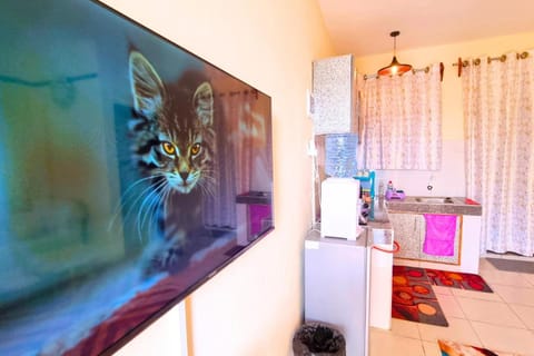 TV and multimedia, Kitchen or kitchenette, Evening entertainment