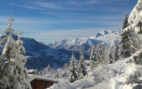 CHALET SPA BELLE VUE 500 m des pistes Chalet in Manigod