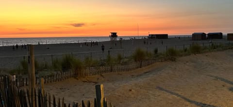 Natural landscape, Beach, Sea view, Sunset