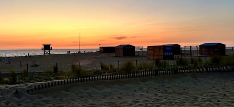 Natural landscape, Beach, Sea view, Sunset