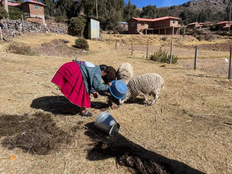 Amantani Enchantment Country House in Puno, Peru