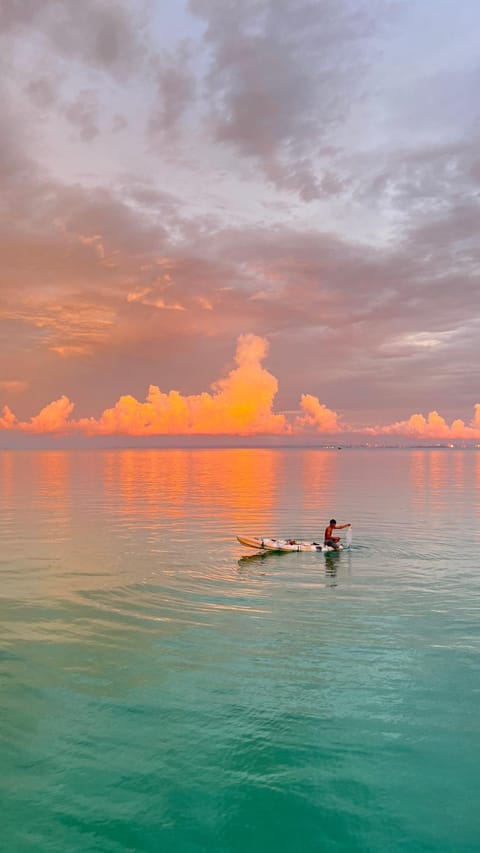 Natural landscape, Sunset