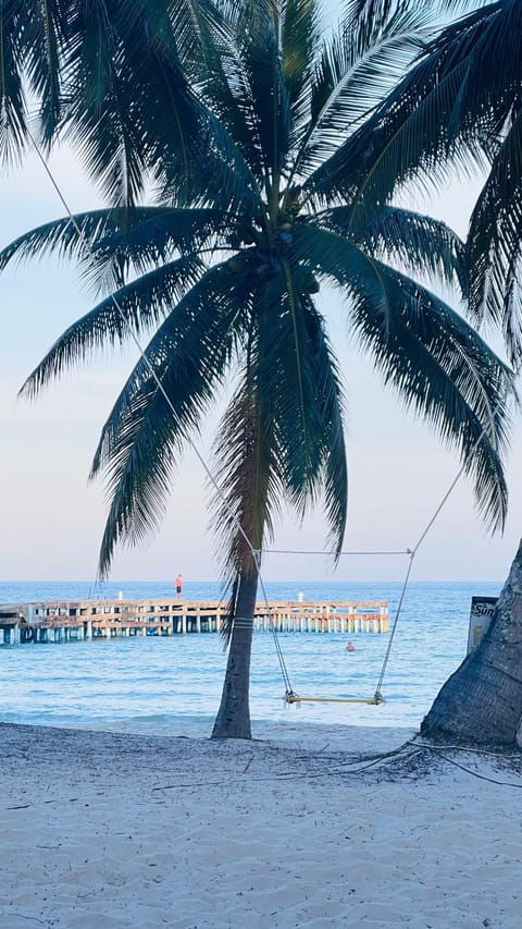 Natural landscape, Beach, Sea view