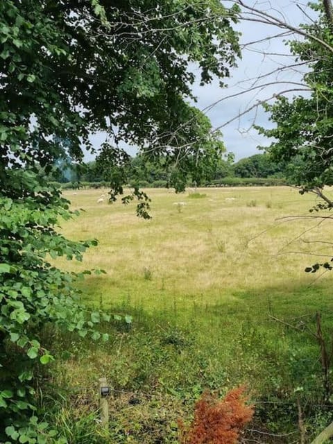 Home in East Stoke near Wareham House in Purbeck District