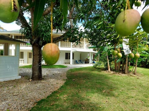 Hotel Casa Robinson Hotel in Las Terrenas