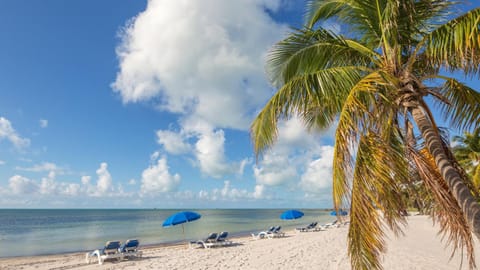 Atlantic Reflections by Last Key Realty Apartment in Key West