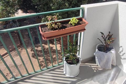 Patio, View (from property/room)