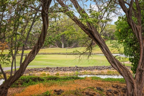 Hawaii Magic House in Puako