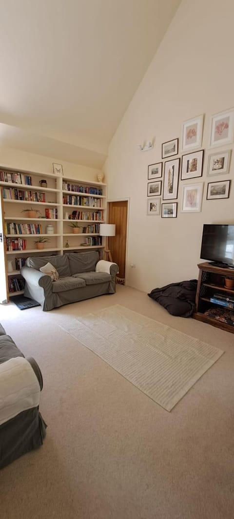 Library, TV and multimedia, Living room, Seating area