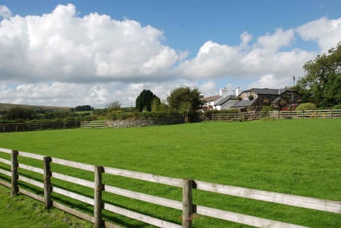 The Elephants Nest Inn Bed and Breakfast in West Devon District