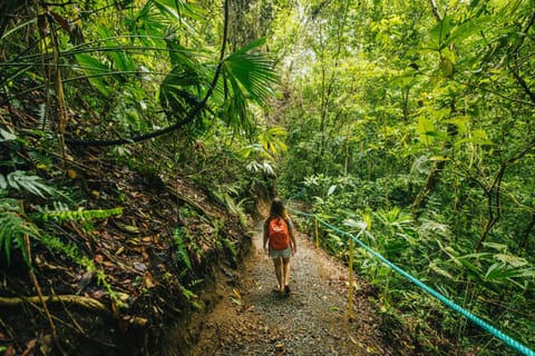 Natural landscape, Garden