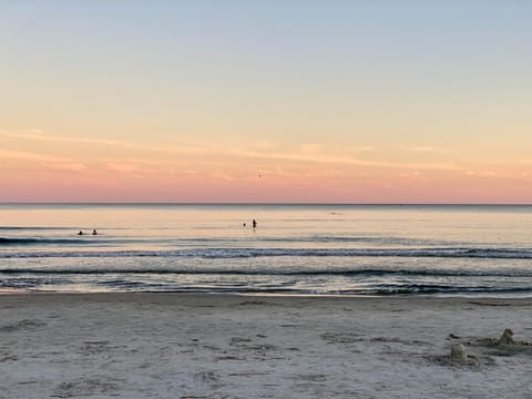 Beach, Sunset, group of guests