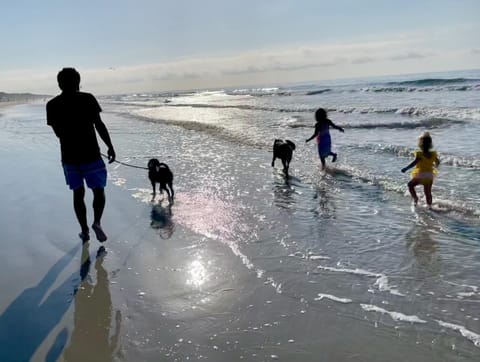 Beach, group of guests