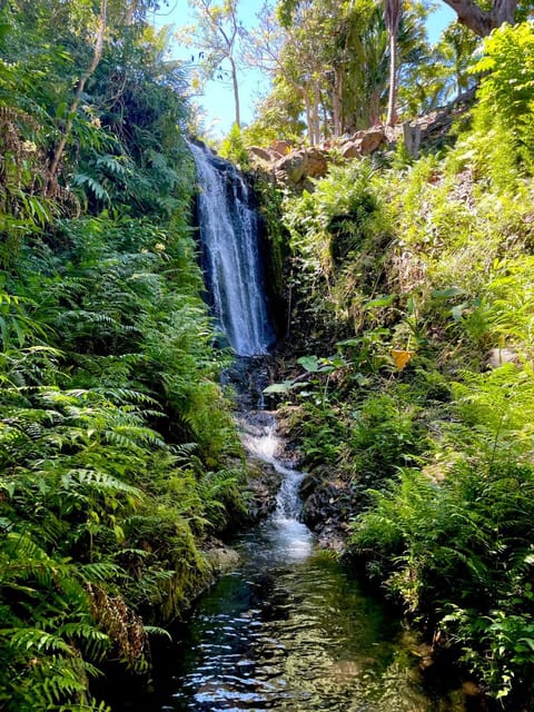 ROMATIC WATERFALL CABIN in the Rainforest Nature lodge in Kukuihaele