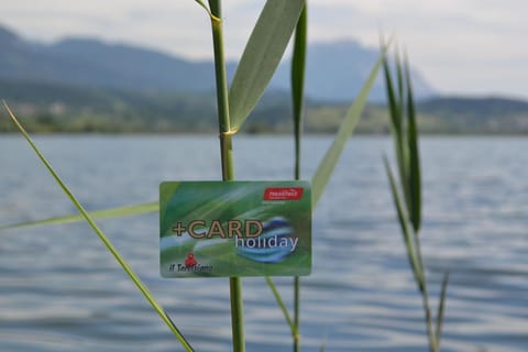 Gästehaus Lindermuth Apartment in Friuli-Venezia Giulia