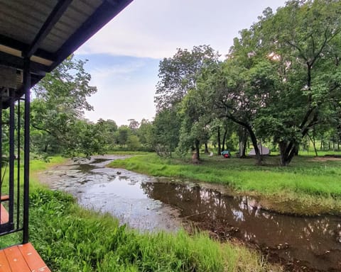 Natural landscape, River view