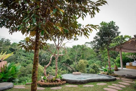 Natural landscape, Pool view, Swimming pool