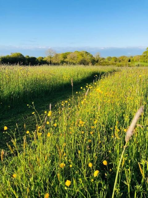 Spring, Day, Natural landscape