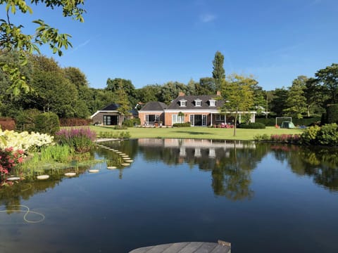 Natural landscape, Garden, Lake view