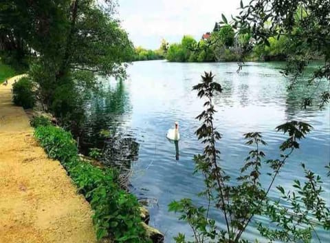 Un écrin de verdure aux portes de Paris Apartment in Noisy-le-Grand