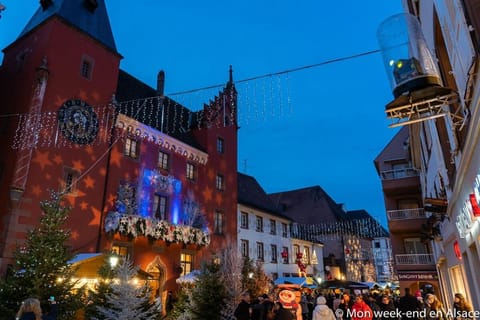 Grand et lumineux 2 pièces en zone pietonne Apartment in Haguenau