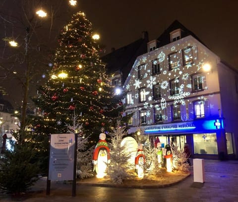 Grand et lumineux 2 pièces en zone pietonne Apartment in Haguenau