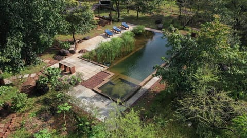 Bird's eye view, Swimming pool, Swimming pool