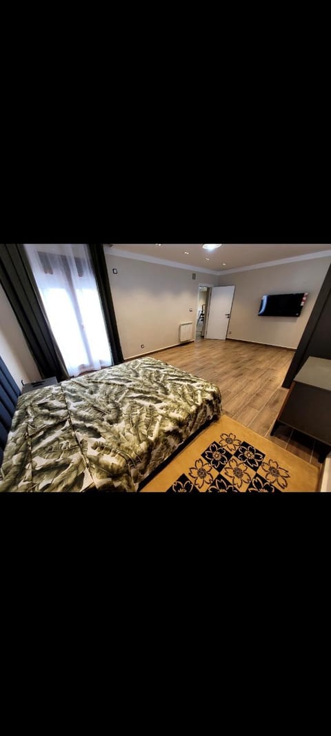 Cool Home Apartment in Oran