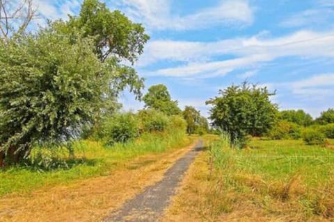 Gemütliche Ferienhütte am See mit großem Garten House in Rechlin