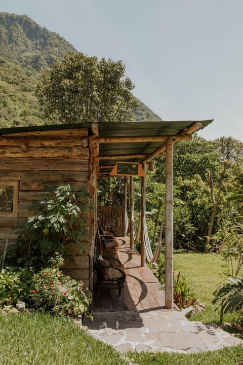 Day, Garden, Mountain view