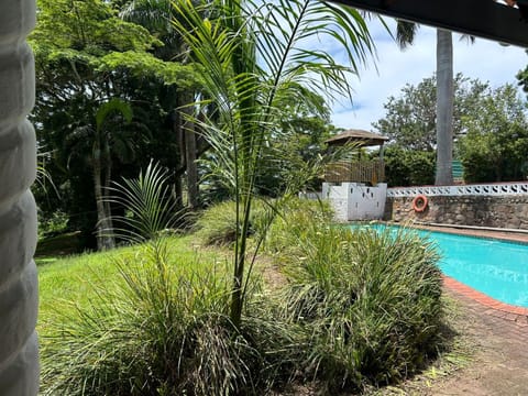 Garden, Pool view