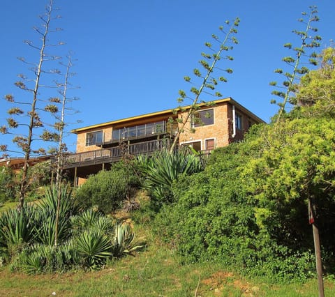 Starfish Surf House Maison in Eastern Cape