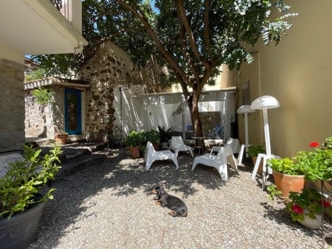 Property building, Garden, Garden view