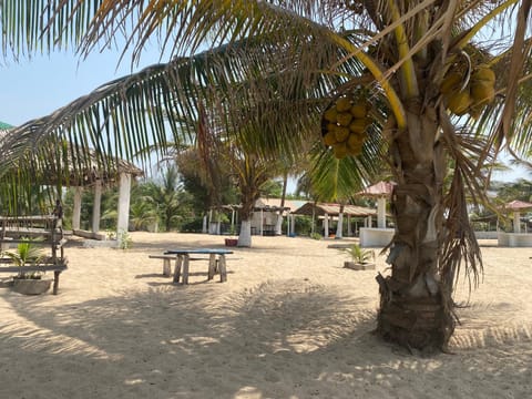 Paradise Inn & Resort Luxury tent in Senegal