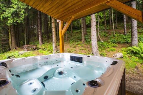 Hot Tub, Spa and wellness centre/facilities