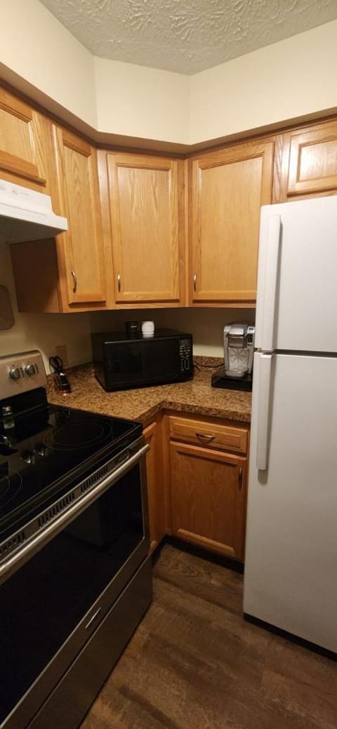 Kitchen or kitchenette, dishwasher, oven, stove