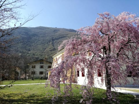 Agriturismo Memento Farm Stay in Trentino-South Tyrol