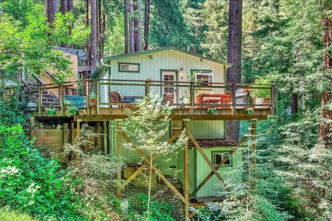 Cozy Cabin in Redwoods with Hot Tub House in Russian River