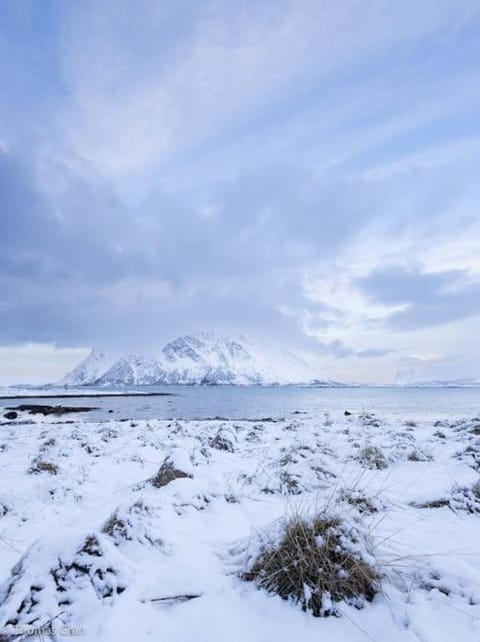 Panoramautsikten Lofoten with Jacuzzi Villa in Lofoten