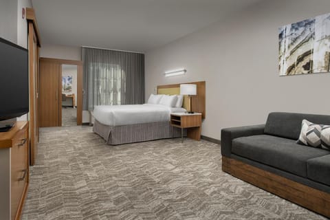 SpringHill Suites by Marriott Tuscaloosa Hôtel in Tuscaloosa