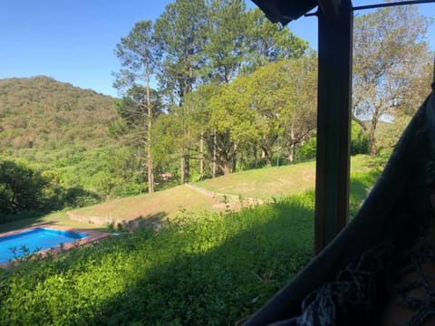 Garden, Pool view, Swimming pool