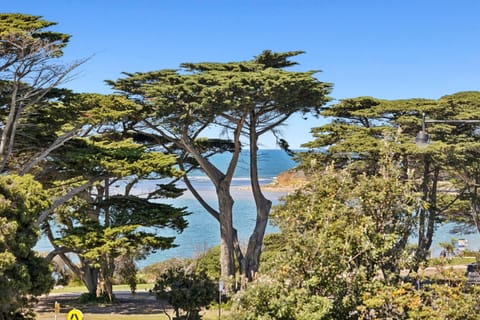 Luxury Meets Oceanfront Bliss on The Esplanade Apartment in Torquay