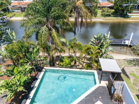 Day, Garden, Garden view, Swimming pool, sunbed