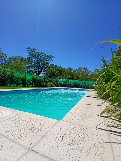 Garden, Pool view, Swimming pool