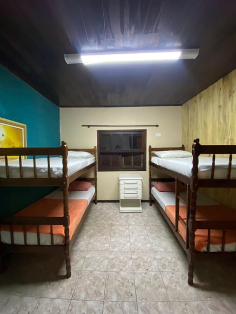 Bed, Photo of the whole room, Bedroom, bunk bed