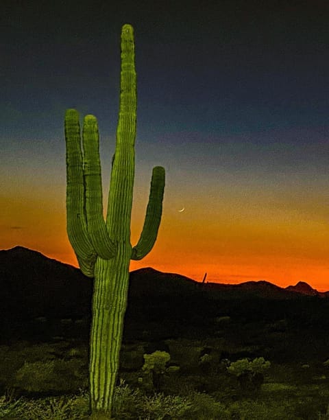 Boulder Apache Junction House in Apache Junction