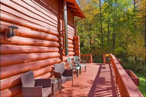 Scenic Cabin near the lake Haus in Great Sacandaga Lake